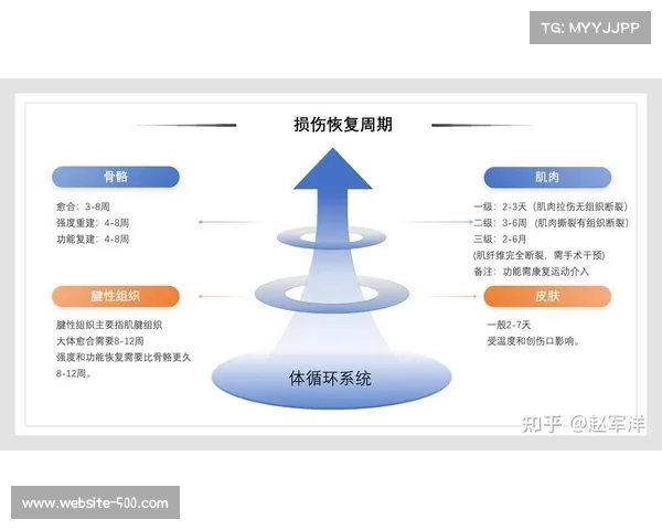 王晓明膝关节康复日记揭秘 运动医学专家详细解析治疗方案与恢复过程
