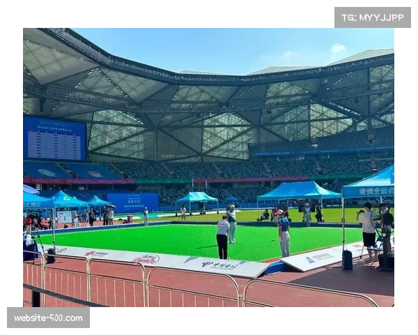 湖北数字化平台助力全运会群众门球赛事发展 湖北数字化平台助力全运会群众门球赛事发展